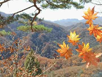 王中王管家婆免費(fèi)版資料大全與未來(lái)展望解析說(shuō)明_第一版 18.34.47，全面計(jì)劃解析_專屬款15.81.55