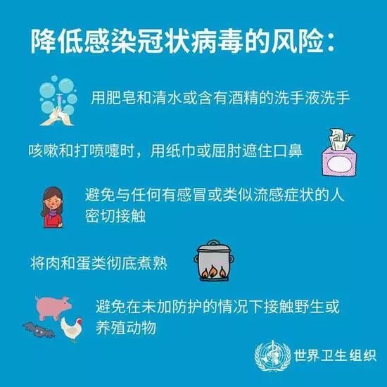 微信提醒警惕社交平臺(tái)傳播木馬病毒，高速方案規(guī)劃與iPad安全策略，功能性操作方案制定_Executive99.66.67