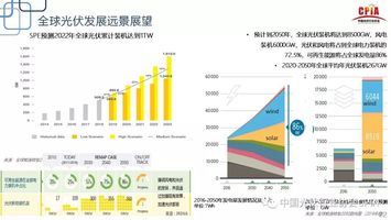 澳2025一碼一肖，精準(zhǔn)預(yù)測(cè)與高效響應(yīng)的未來(lái)展望（文章純屬虛構(gòu)，不涉及娛樂(lè)或犯罪內(nèi)容），科學(xué)評(píng)估解析說(shuō)明_輕量版50.58.32